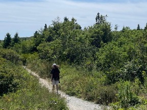 A man hikes along a trail at Crystal Crescent Beach on Thursday, Aug. 7, 2025.