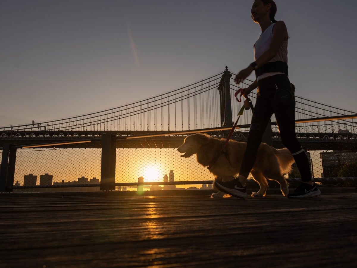 New York, Washington set to swelter in record heat next week