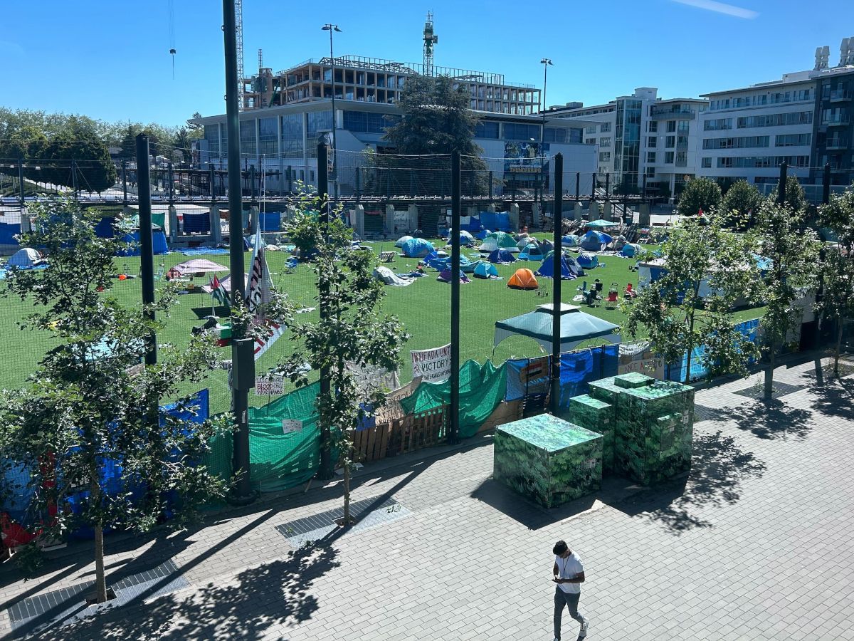 Amy Hamm: White UBC prof claims to have 'absorbed anti-Palestinian racism'