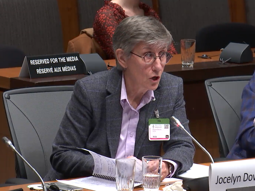 Canada told mentally ill must be euthanized lest they kill themselves