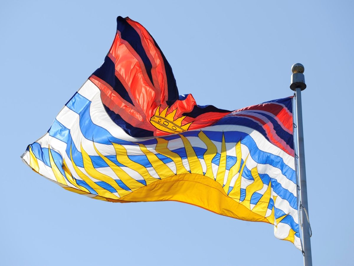 Amy Hamm: B.C. Conservatives need a leader who won’t light the party on fire