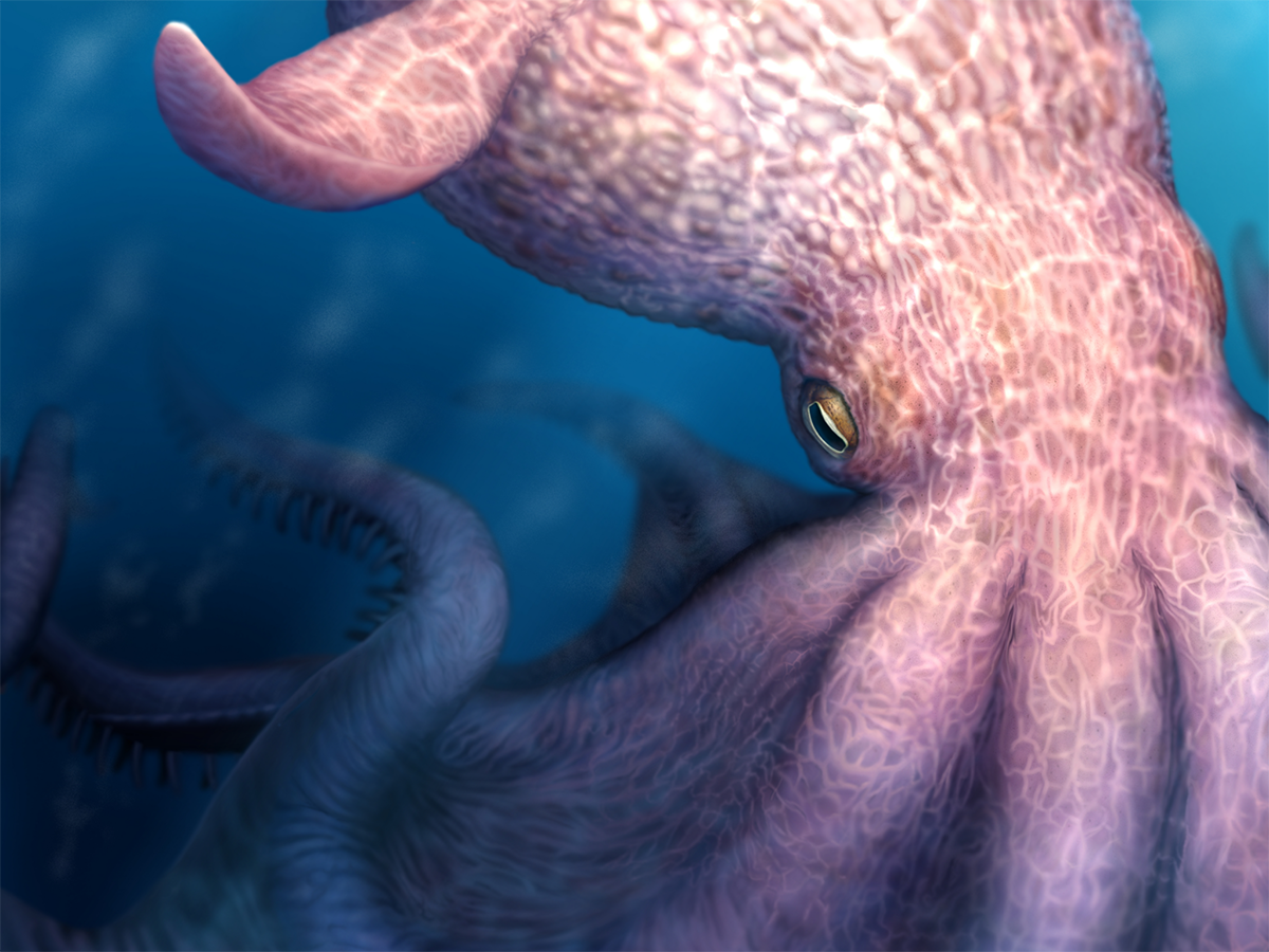 Kraken-like giant octopus ruled the seas in the time of the dinosaurs, study suggests