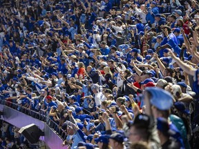 jays fans in the upper deck cheering