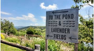 How did a Canadian reporter end up living in rural Wales? Former war correspondent Nancy Durham explains