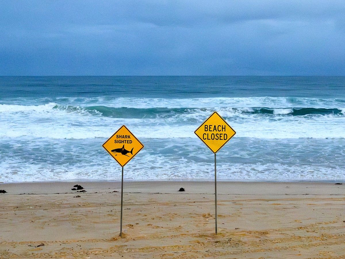 Man dies in Australia’s second fatal shark attack of 2026