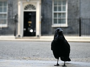 10 Downing Street