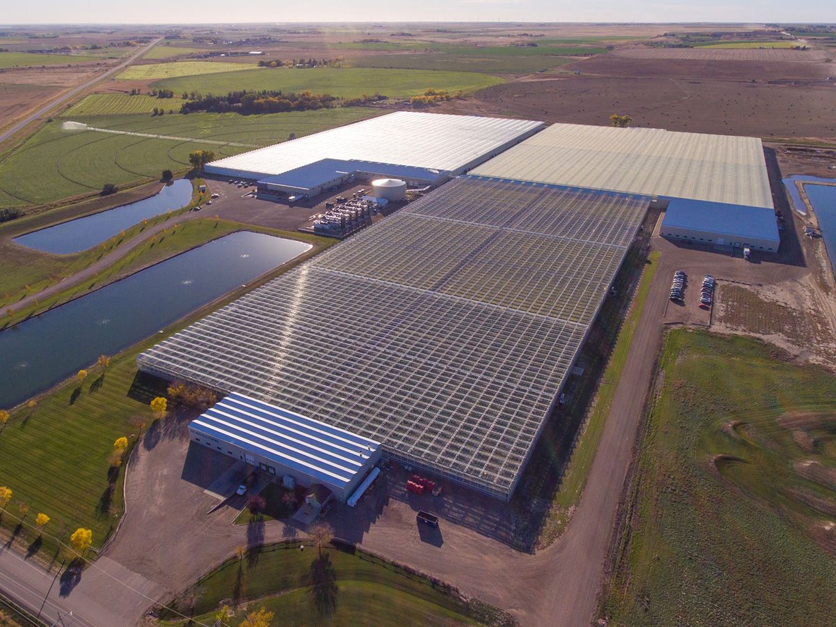 An aerial view of Big Marble Farms. “It’s me and my dad. That’s it. It’s a family operation,” says CEO Ryan Cramer. An aerial view of Big Marble Farms. “It’s me and my dad. That’s it. It’s a family operation,” says CEO Ryan Cramer.