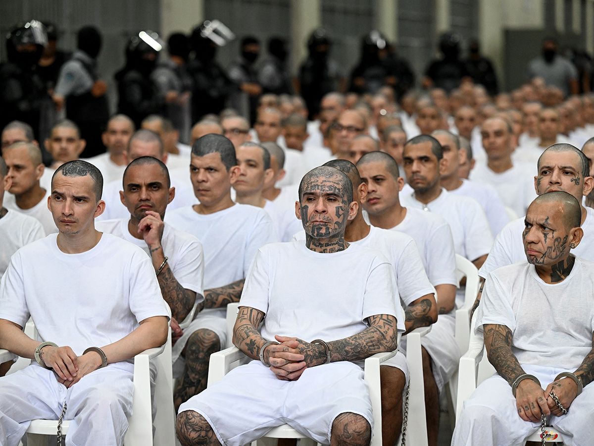 Failed refugee claimant, MS-13 gang informant, identity thief and forger can stay in Canada