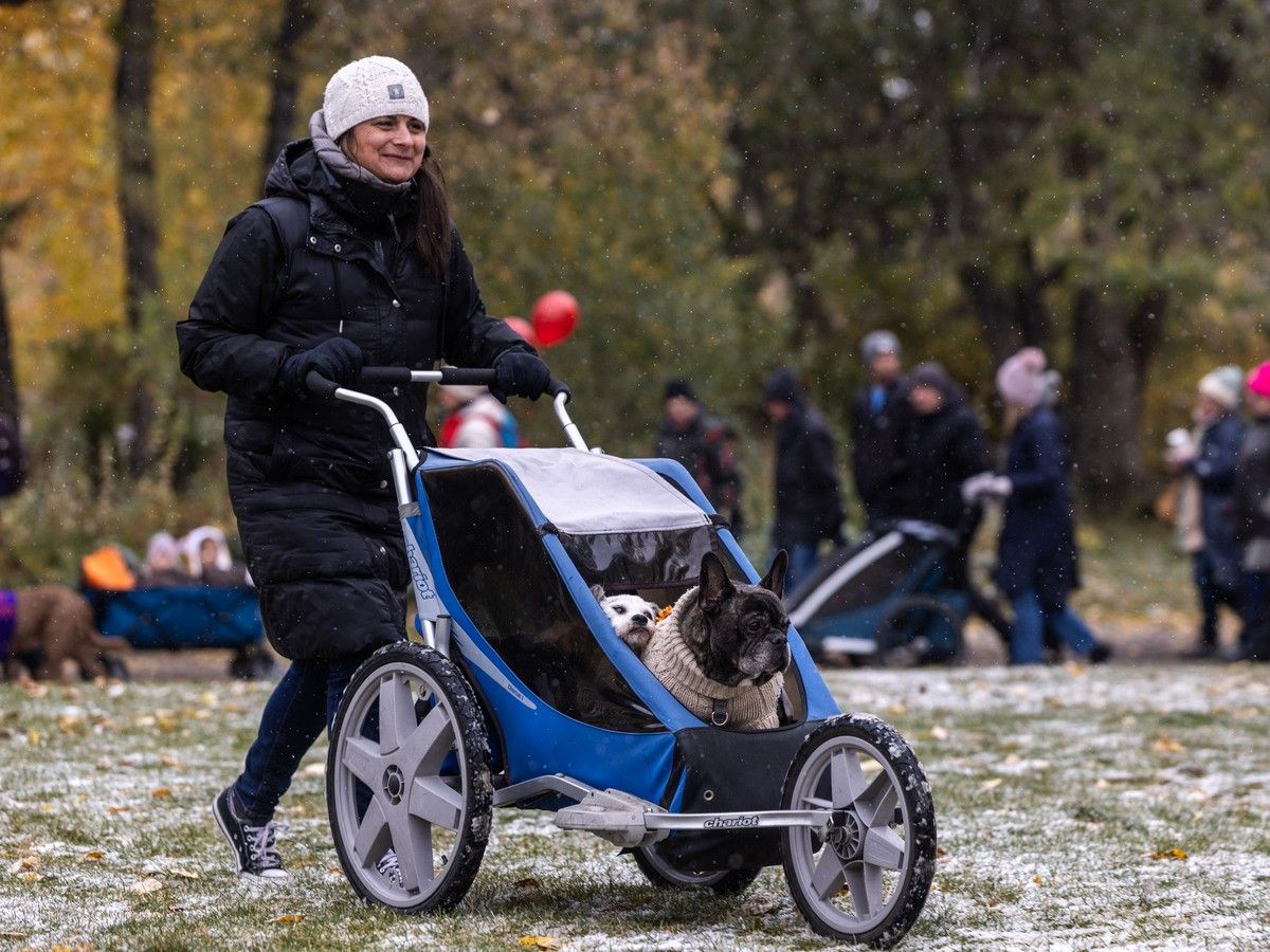 Fewer people are having babies in Canada and the U.S. and the government is out of ideas