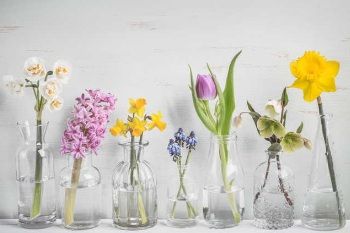 Made in Canada: Embrace spring with these 5 floral inspired products from Canadian brands