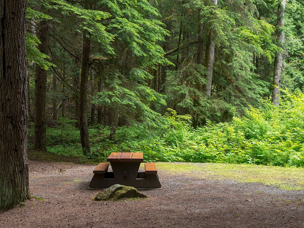 Ontario judge bans girl, 11, from attending nudist camps