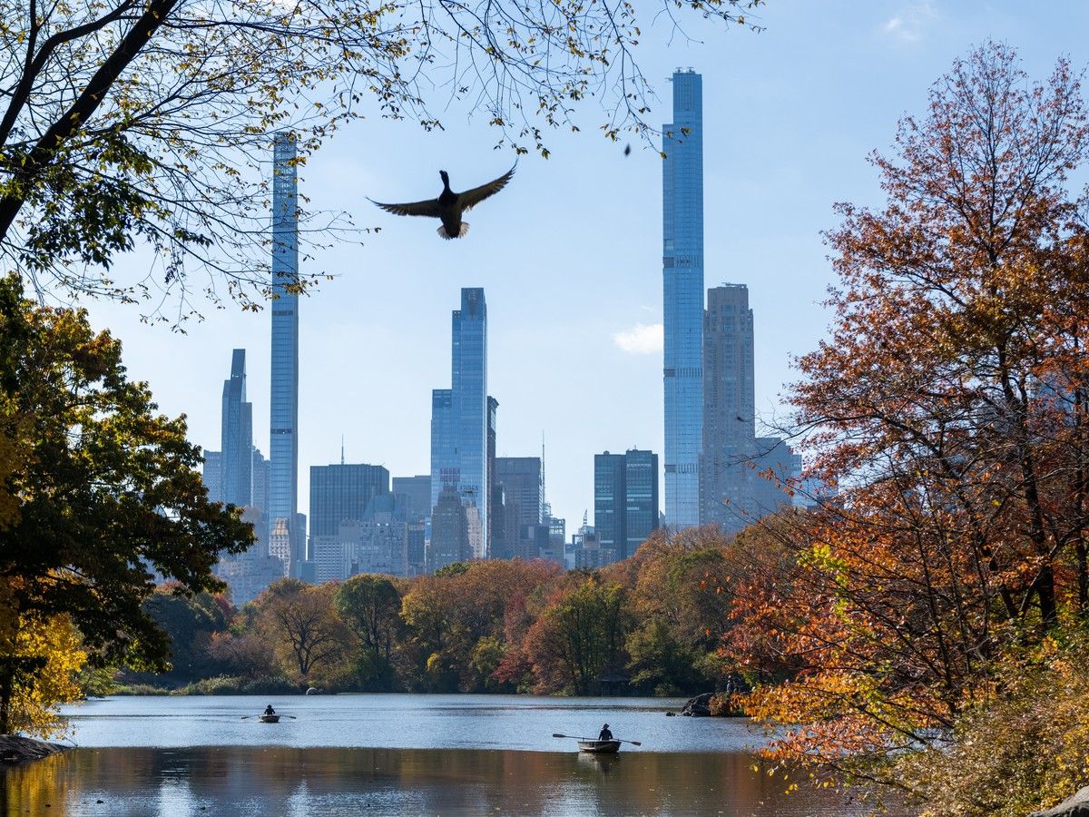 New York