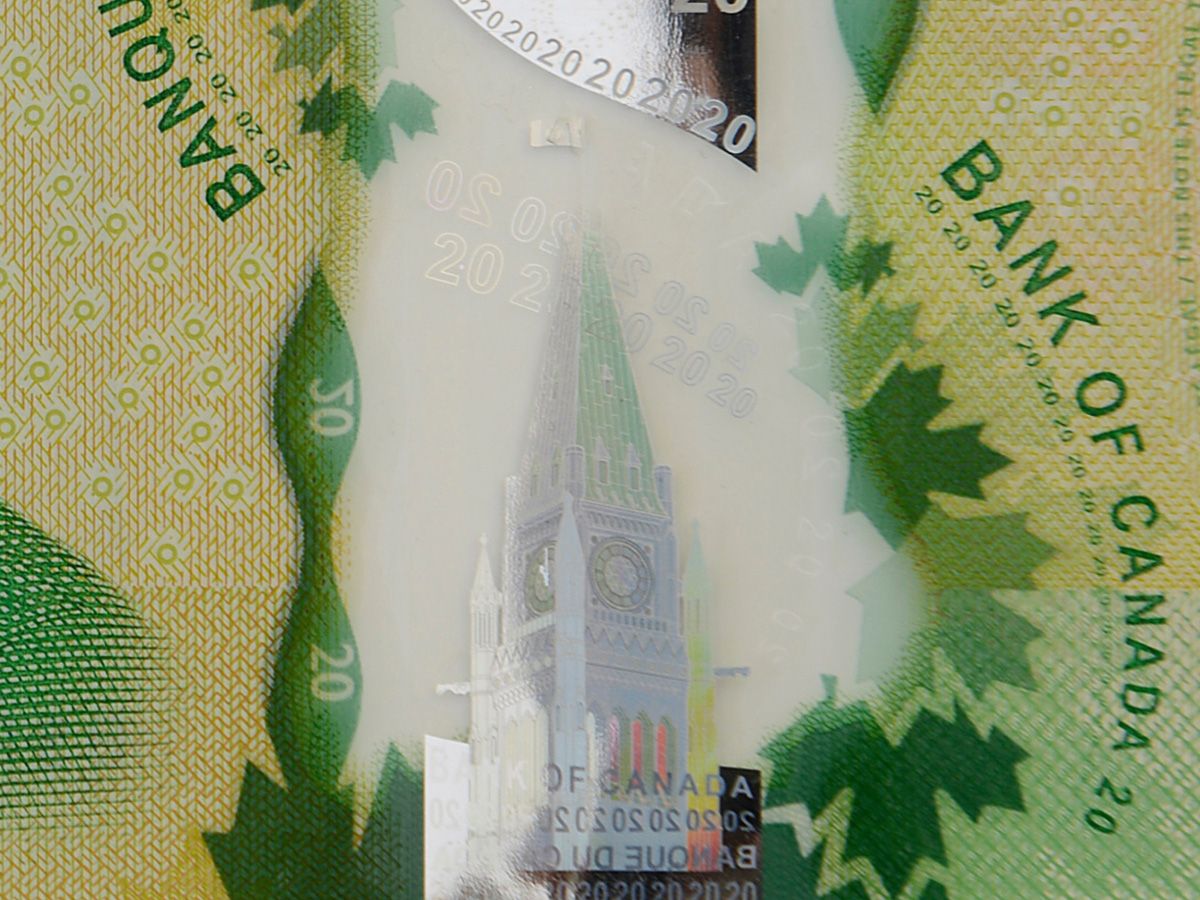 $20 bill detail.