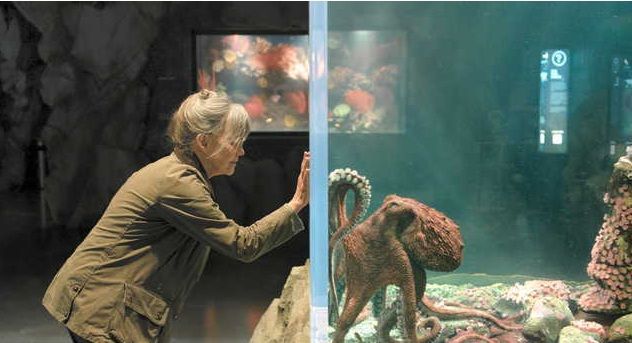 Remarkably Bright Creatures has arm up on Emmys competition