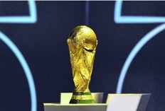 the world cup