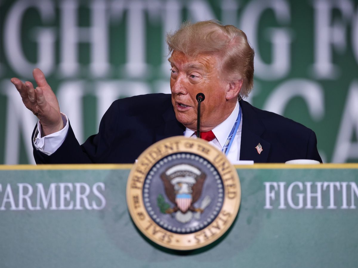 Kelly McParland: Trump is a wounded bear, Canada i