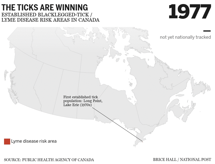 Invasion of the ticks: Watch their remarkably fast