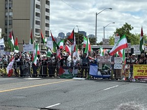 Anti-Israel protesters.