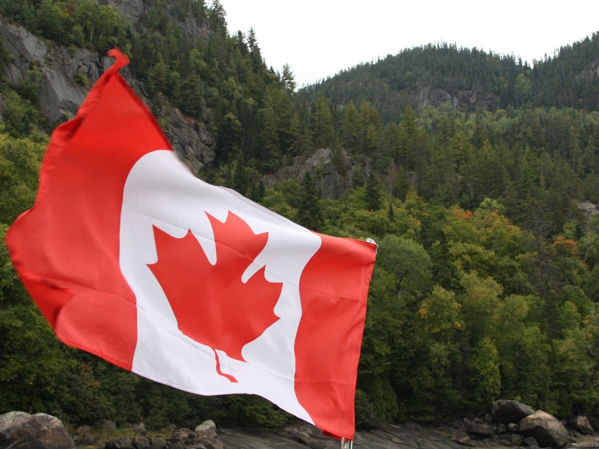 Quebec town officially recognizes trees as sentient living beings with their own rights