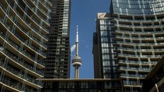 The CN Tower is framed by condo buildings.