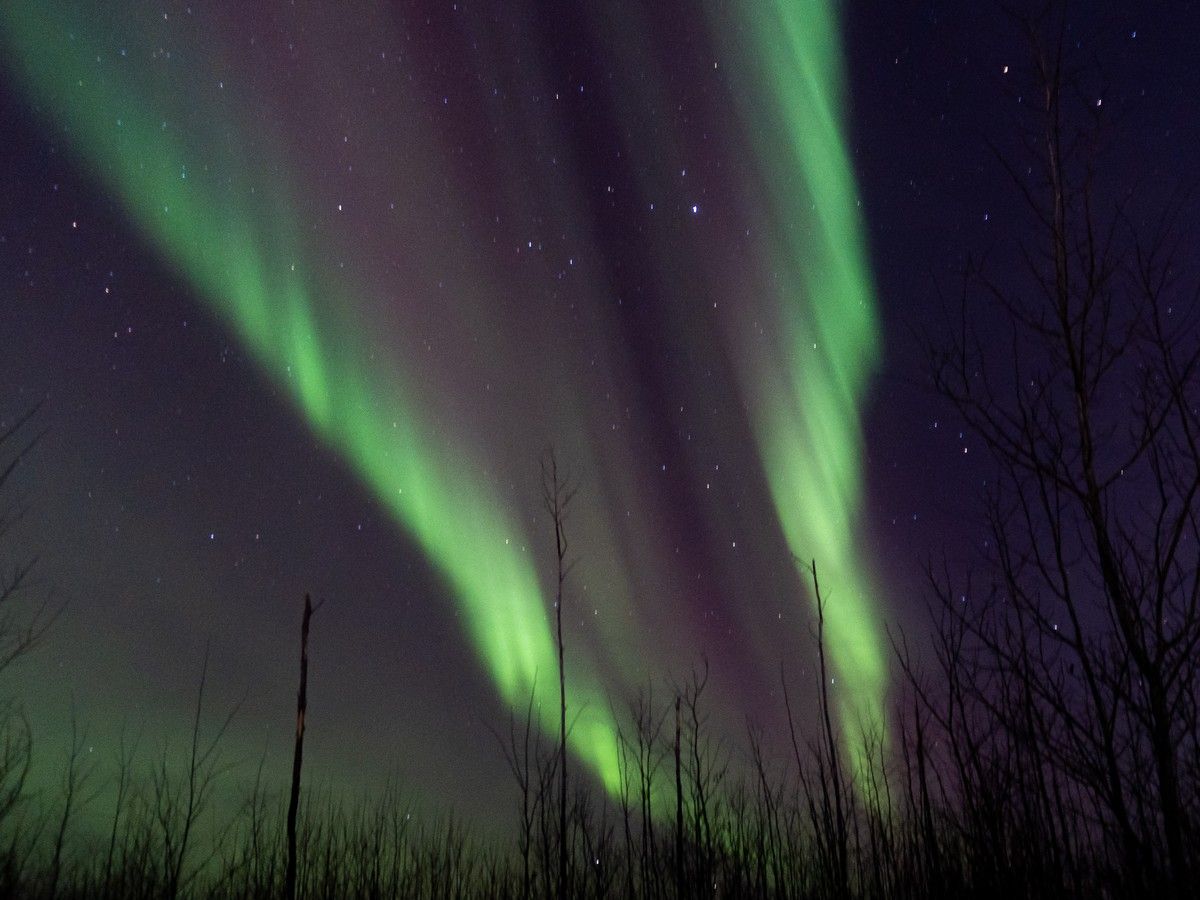 Northern lights expected to be visible across Canada tonight. Here’s how to see them