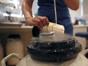 women's eggs in deep freeze