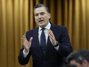 Evan Solomon