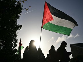 Palestine Action