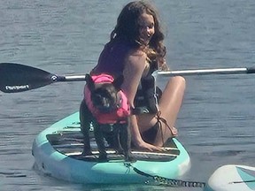 dog