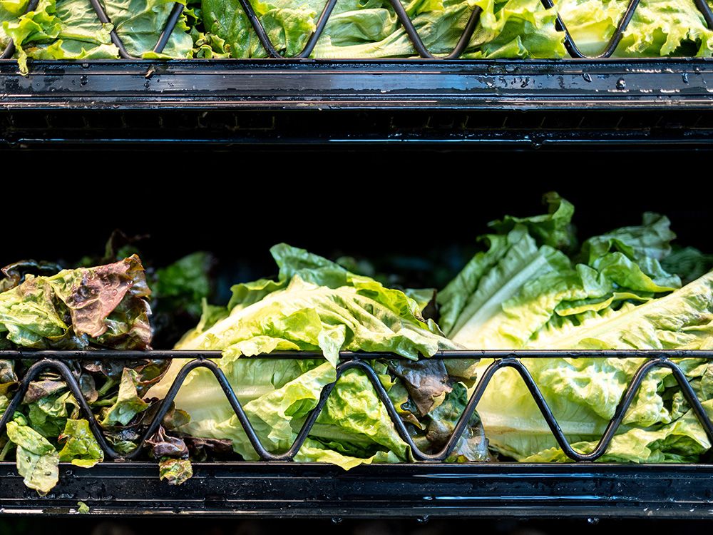 ‘Watery diarrhea’ cases surge in Quebec, as Michigan identifies lettuce as possible source of outbreak