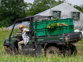woman in a side-by-side loaded with veggies