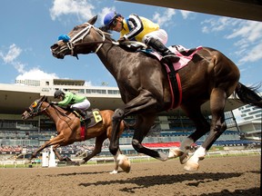 Horses racing on a track.