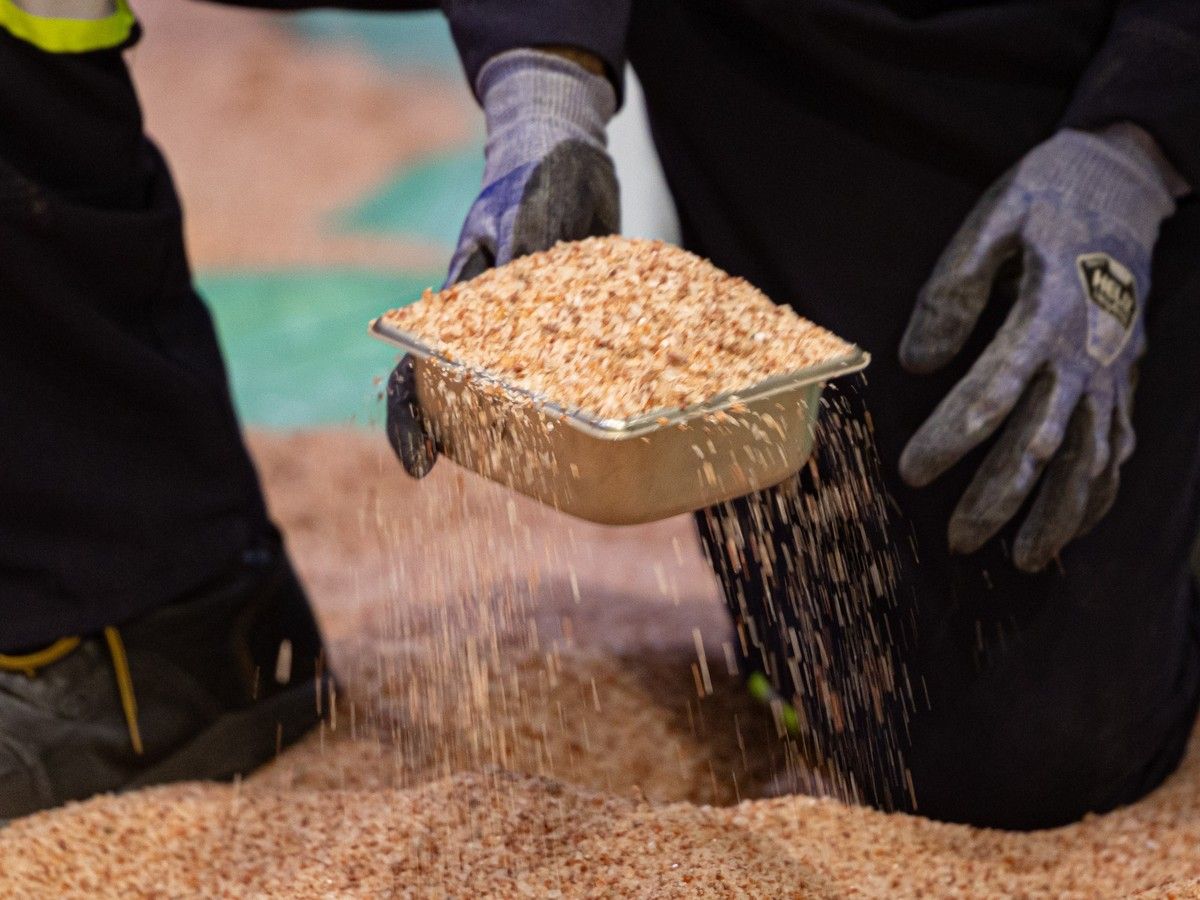 FILE: A man collects potash at the Nutrien Pilot Plant, a technical facility supporting potash operations across Saskatchewan in Saskatoon, Sask. FILE: A man collects potash at the Nutrien Pilot Plant, a technical facility supporting potash operations across Saskatchewan in Saskatoon, Sask.