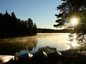Lake and trees.