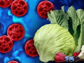 Diagram of fruit and vegetables over germ cells