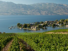 BC winery