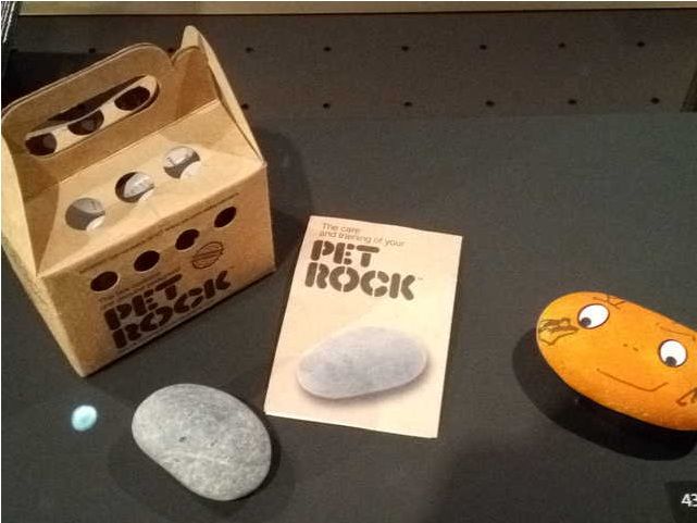 Once a 1970s fad, Pet Rocks now stretch from Seoul to Swifties