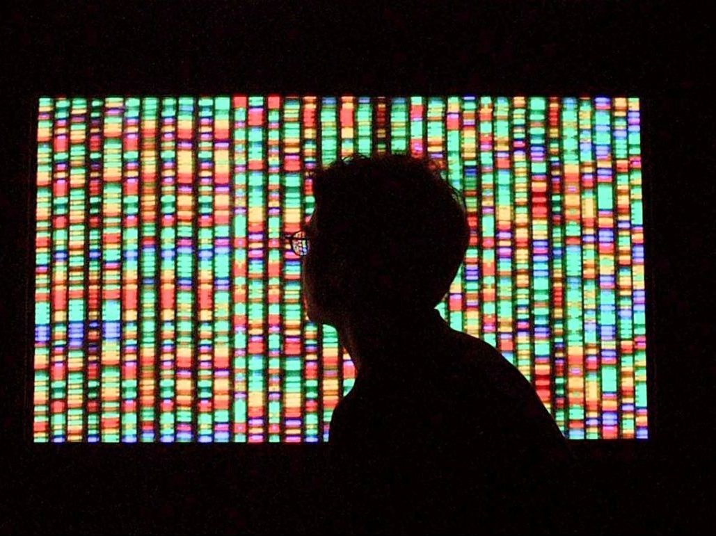 A visitor views a digital representation of the human genome August 15, 2001 at the American Museum of Natural History in New York City.