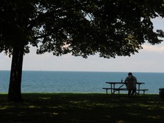 A person sits on a picnic bench under a tree on the shore of Lake Ontario.
