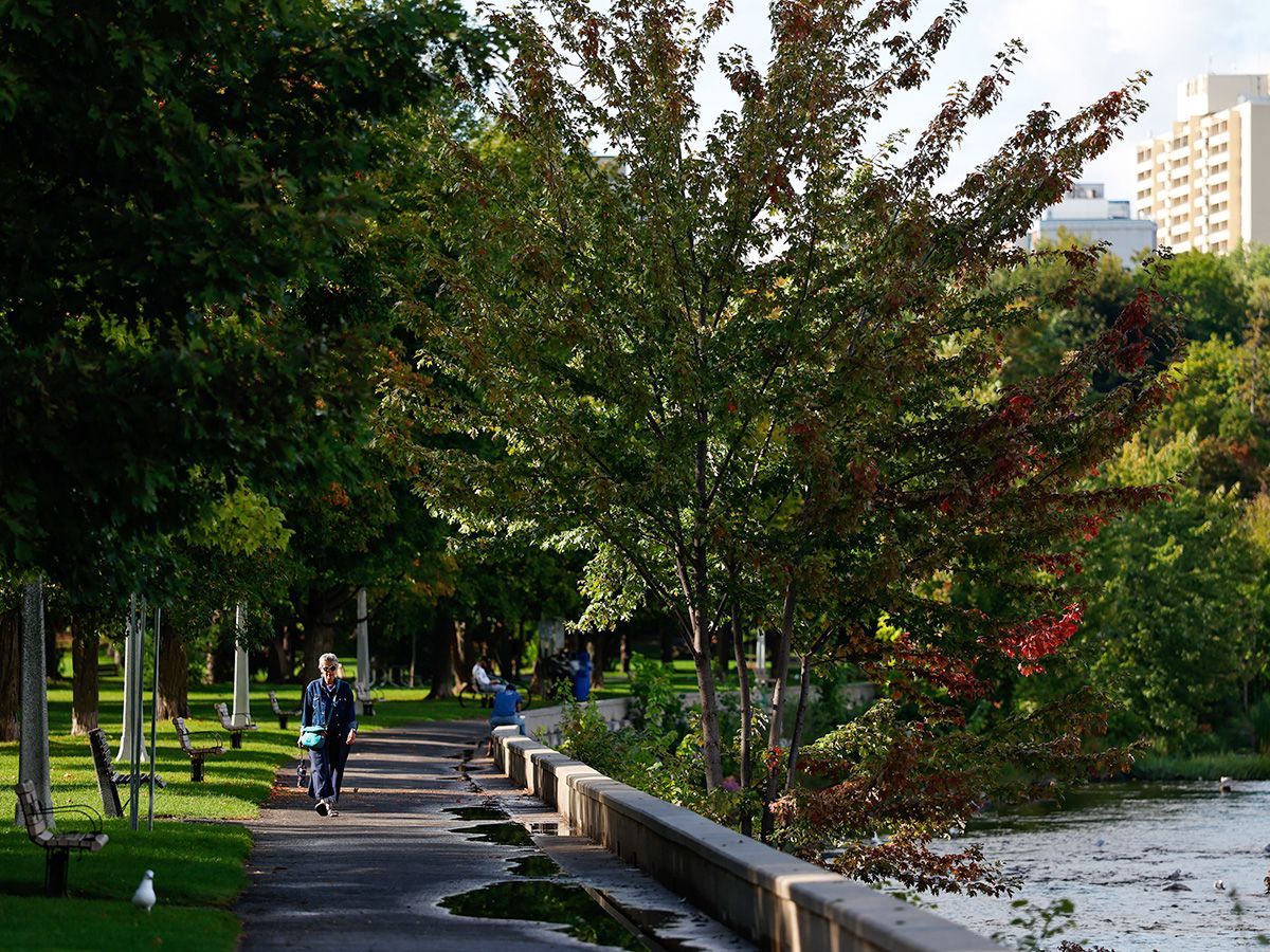Park next to a river.