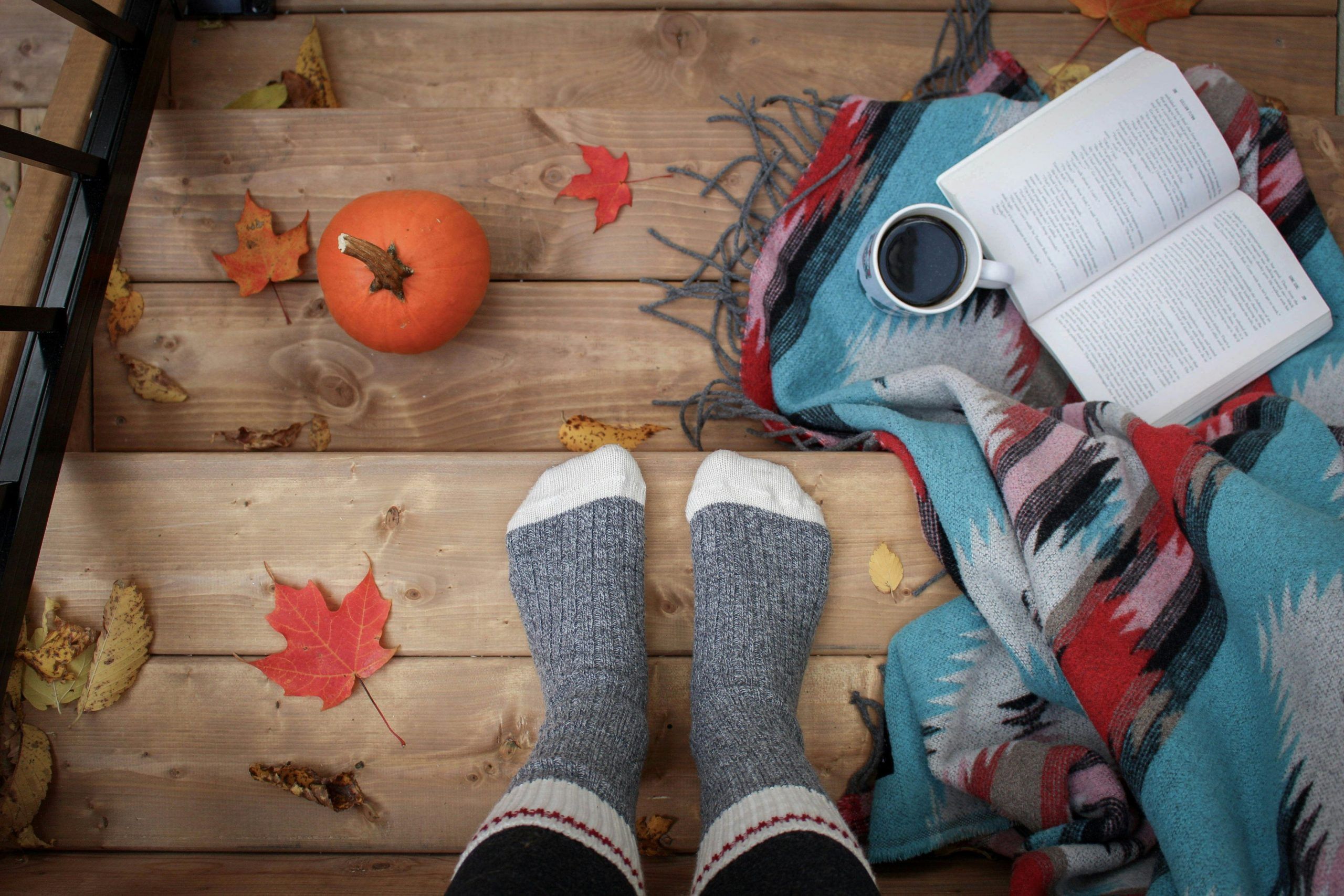 Hit the books this fall with these four hot Canadian titles