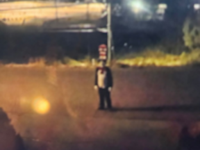 A person dressed as the Cat in the Hat stands on a street at night.