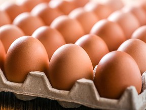Tray of eggs.