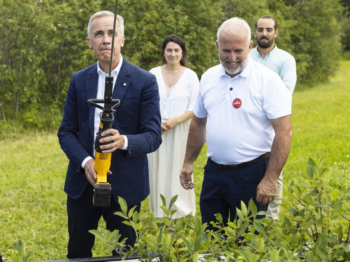 Tasha Kheiriddin: Liberal byelection sweep cements Carney’s flag-rallying strategy