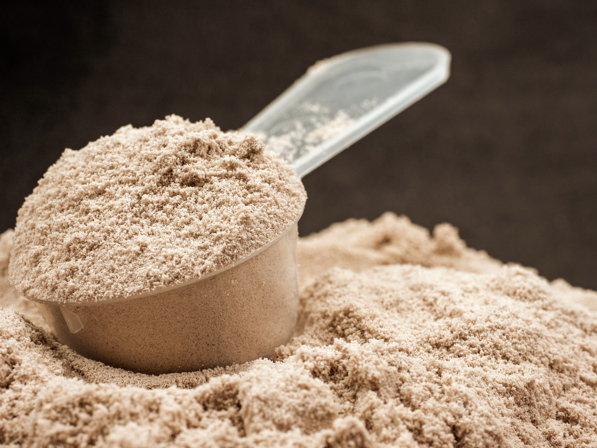 Closeup of protein powder