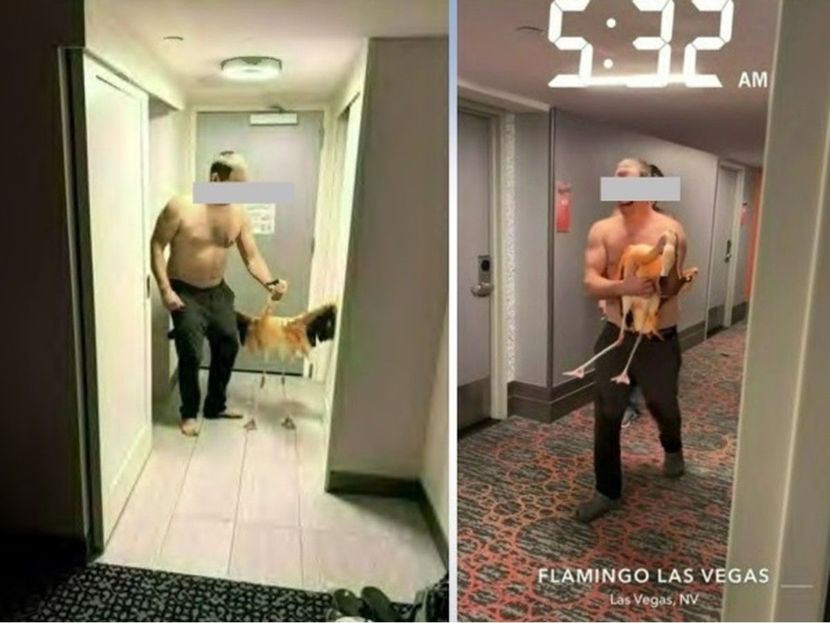 Vegas flamingo