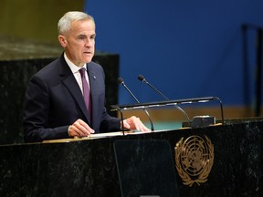 Mark Carney UN