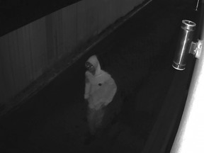 A person seen on black and white surveillance footage