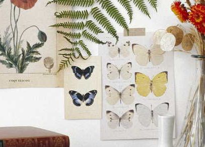 Butterflycore is the latest trend in whimsical home decor