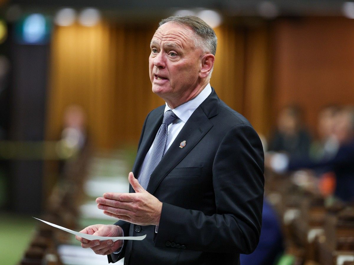 Minister of National Defence David McGuinty speaks during Question Period in the House of Commons.